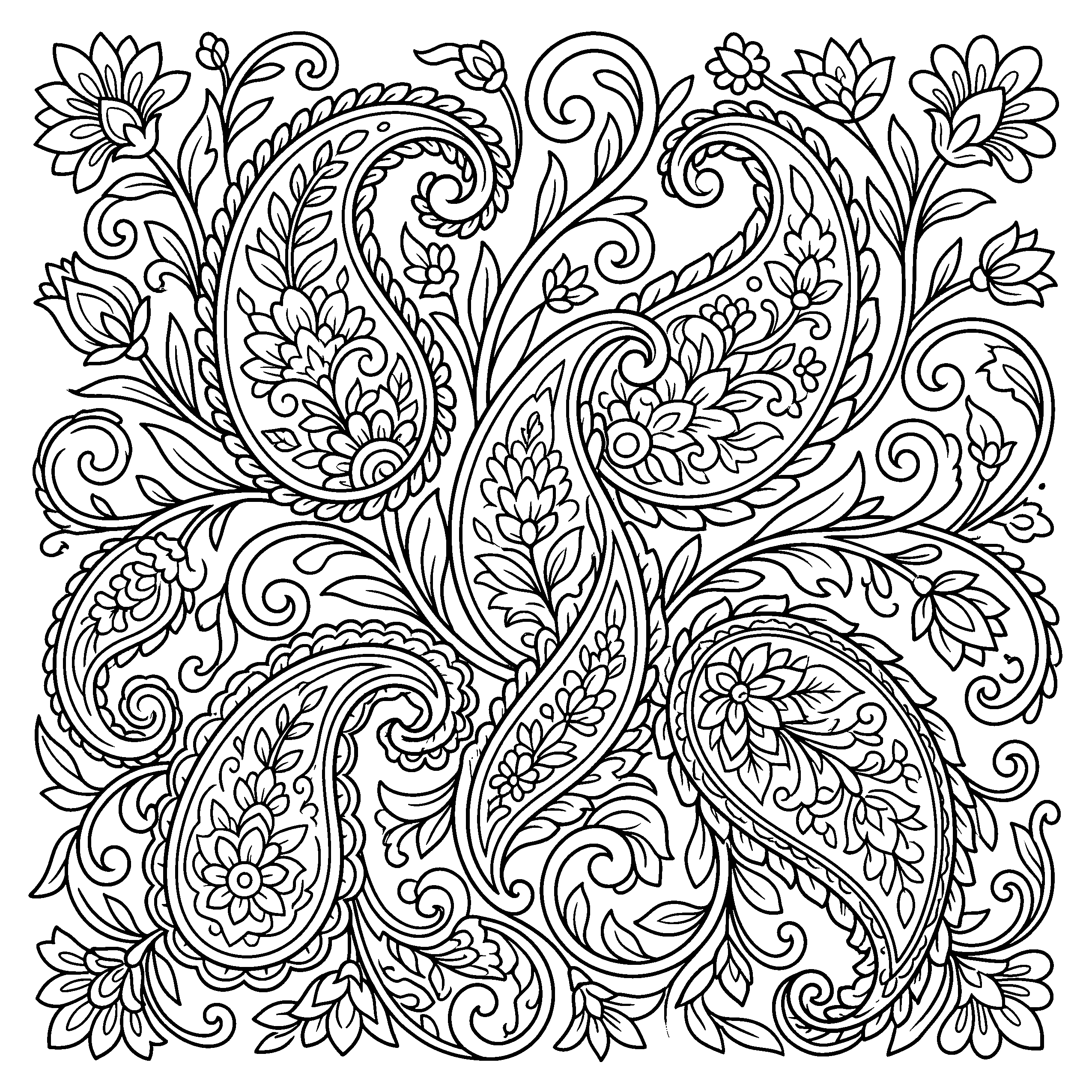 Paisley floral swirls pattern coloring page